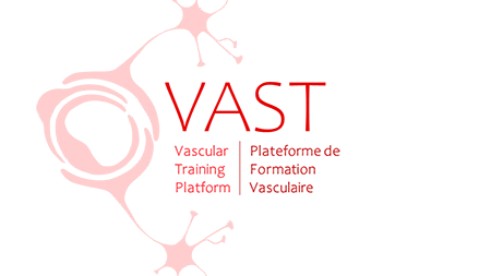 VAST Vascular Training Program | Plateforme de Formation Vasculaire